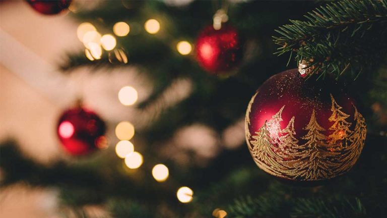 ¿Cómo limpiar las esferas de tu pino de navidad?